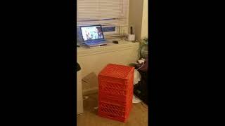Details Cursed Images[#96] (Cursed Gaming Setups Edition) Update
