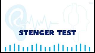 Stenger Test EN