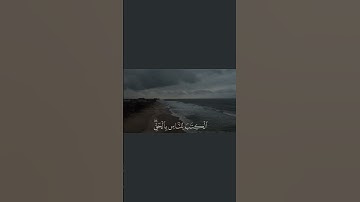 ياسر الدوسري - سورة الزمر