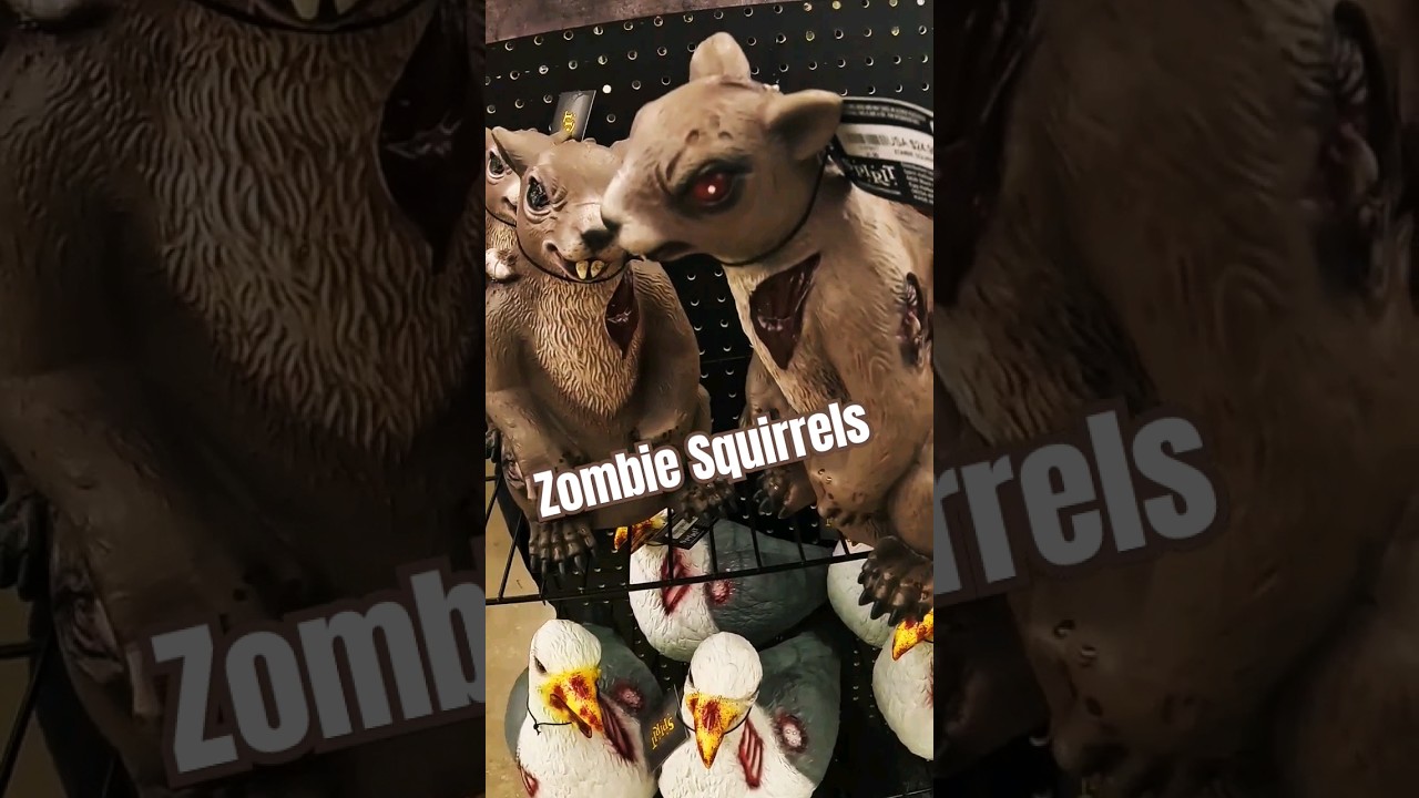 Zombie Squirrel Has a PSA... #spirithalloween #halloweenshorts