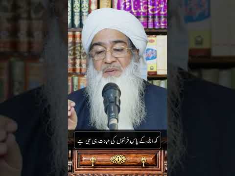 #YouTubeShorts #Shorts #YouTubeReels #ViralShorts #TrendingShorts #IslamicShorts #IslamicReels