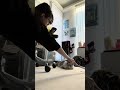 猫の毛がよく取れるやつです #cat #ねこ