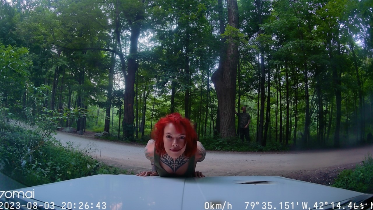 10 Encuentros de CAMPAMENTO que Te Dejarán Sin Aliento!