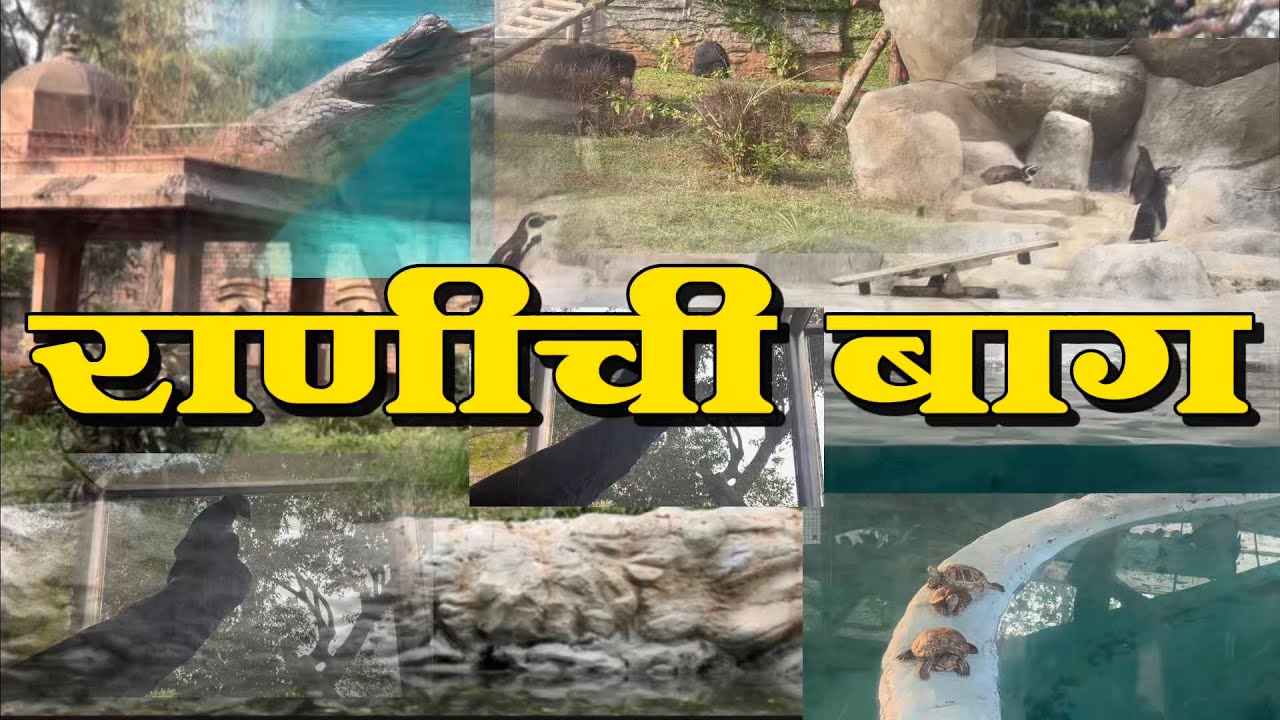 मुंबईतील प्रसिद्ध राणीची बाग | Mumbai Ranichi Bagh Full Tour 2026 | Byculla Zoo | Mumbai Vlog