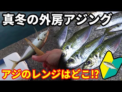 初心者応援 真冬の外房アジング アジのレンジはどこ アジ カマスを釣り分けよう Youtube