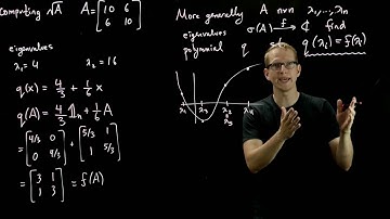 Topics in Linear Algebra - The Functional Calculus  - 03 - Polynomial interpolation