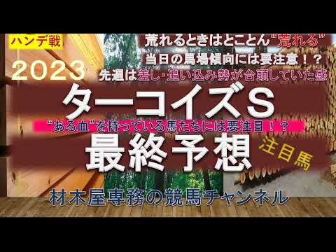 【競馬予想】ターコイズステークス2023 最終予想 荒れるときはとことん荒れる暮れの牝馬限定ハンデ戦 ”ある血”を持つ馬には要注目！？