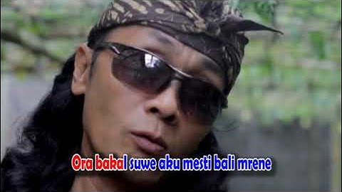 Yun Chandra - Jowo Suriname | Dangdut (Official Music Video)