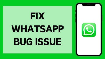How To Fix WhatsApp Bug Issue (2024)
