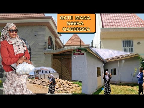 Gatii Manafii Lafaa Seera Guutu Qabuu Magalaa Shashamane Ganda 01Keesati Nannoo Aja Ibaa August 2025