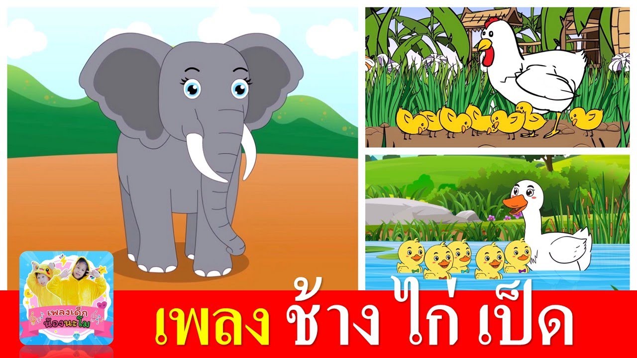 เพลงเด็ก ช้าง ไก่ เป็ด | ช้างช้างช้าง | ไก่กุ๊กกุ๊กไก่ | เป็ดอาบน้ำในคลอง