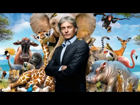 Видео: Тиньков поясняет за Животных