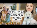 WEEK IN MY LIFE | first week with our golden puppy and texas winter storm outages!