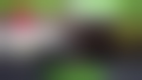 Mafia 2 PHYSX SDK FIX! 100% WORKING METHOD