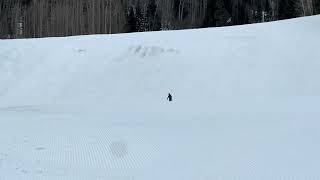 IMG 6953