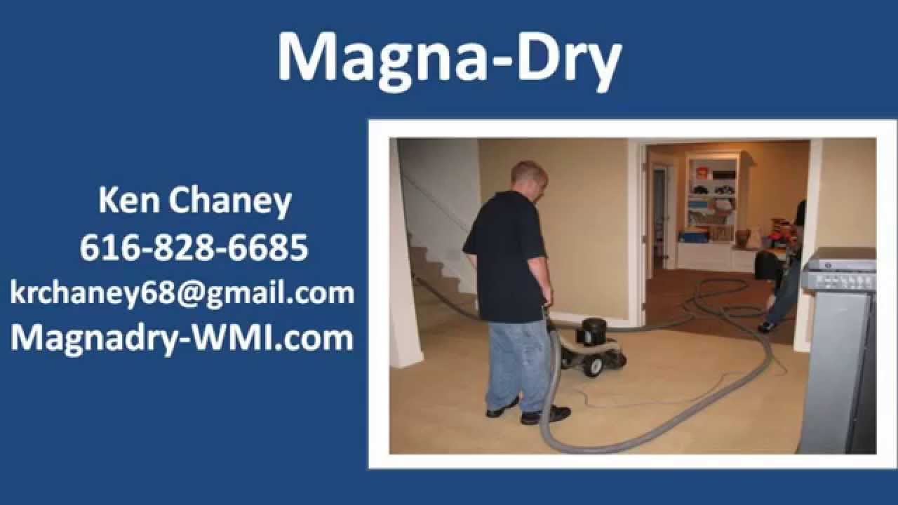 Carpet Cleaning In Grand Rapids MI YouTube