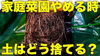 【土捨てる】家庭菜園をやめるときの注意点,土の捨て方と再利用方法【プランター植木鉢栽培】