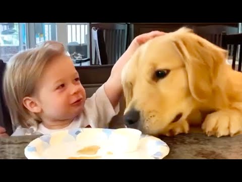 Silly Dogs to Make You Smile | Funny Pet Videos