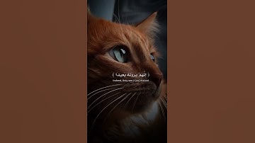 اكتب شيء تؤجر عليه يوم القيامة 😴🤍#قران_كريم #المصحف #آيات_الرحمة