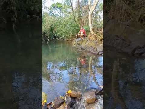 Maghahanap Sila Ng Ginto Trending Viral Ytshorts Shorts Provincelife Gold Work 