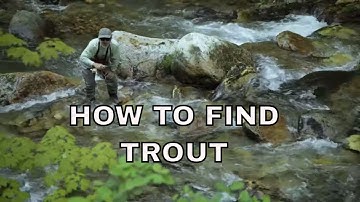 How to Find Trout in Rivers & Streams