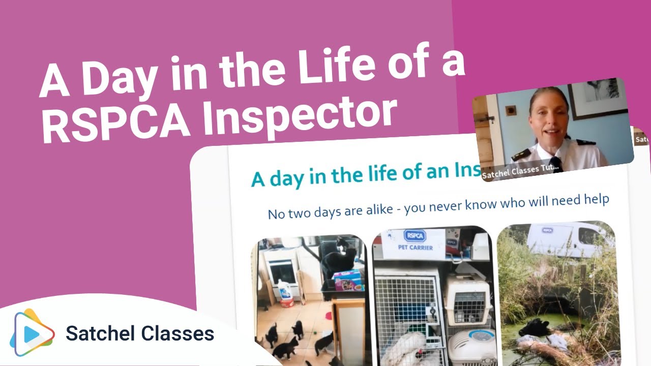 A Day in the Life of a RSPCA Inspector | Careers | Satchel Classes ...