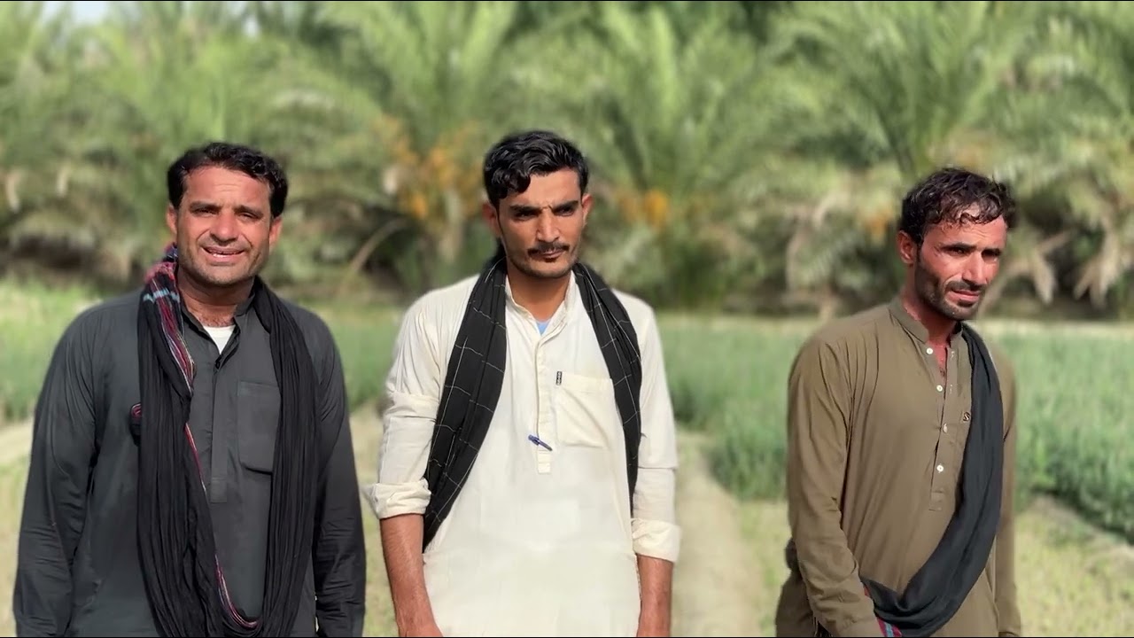 Hammal Hamraz//Tanveer Nizar//Beebagr Ayub//Grewahena//New Song//Poet//zaheer Nasrat//2025