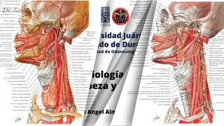 Miologia de Cabeza y Cuello, Generalidades, Dr. Almaguer