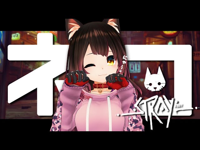 【stray】賢い猫のお通りだにゃ～🐈#3　【ホロライブ/ #ロボ子生放送】のサムネイル