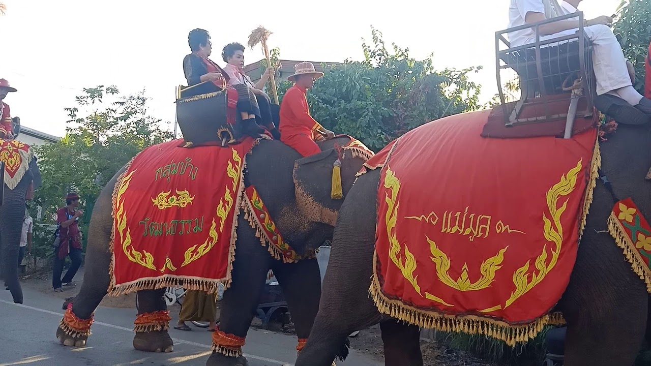 สืบสารประเพณีของอาศรมปู่ฤาษีเกษแก้ว