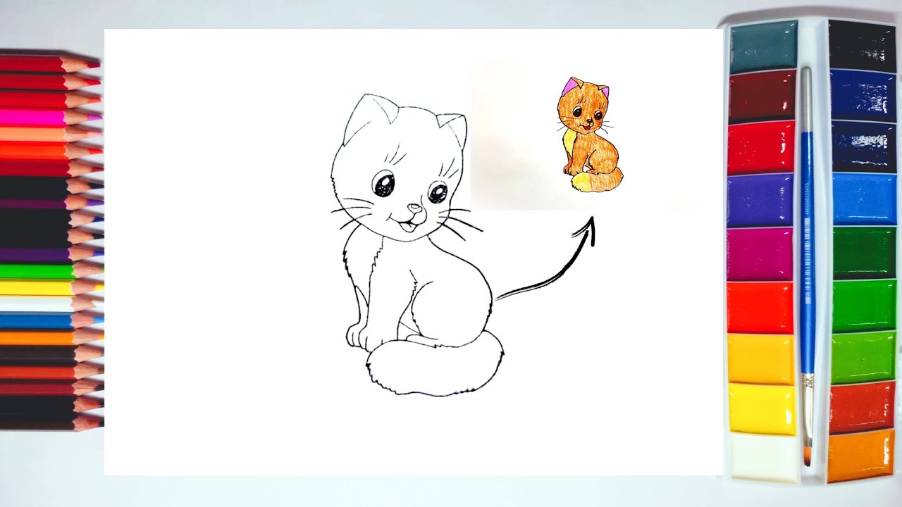 Drawing ,Painting & Coloring a Cat Easy Drawing for Kids Painting