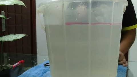 ICSE Physics Class VIII, Floating & Sinking