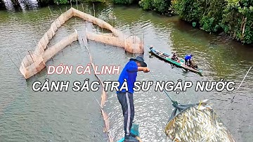 Mùa Nước Nổi – Theo Dấu Người Dân Mưu Sinh Bằng Nghề Dớn Cá Linh vùng biên Campuchia 