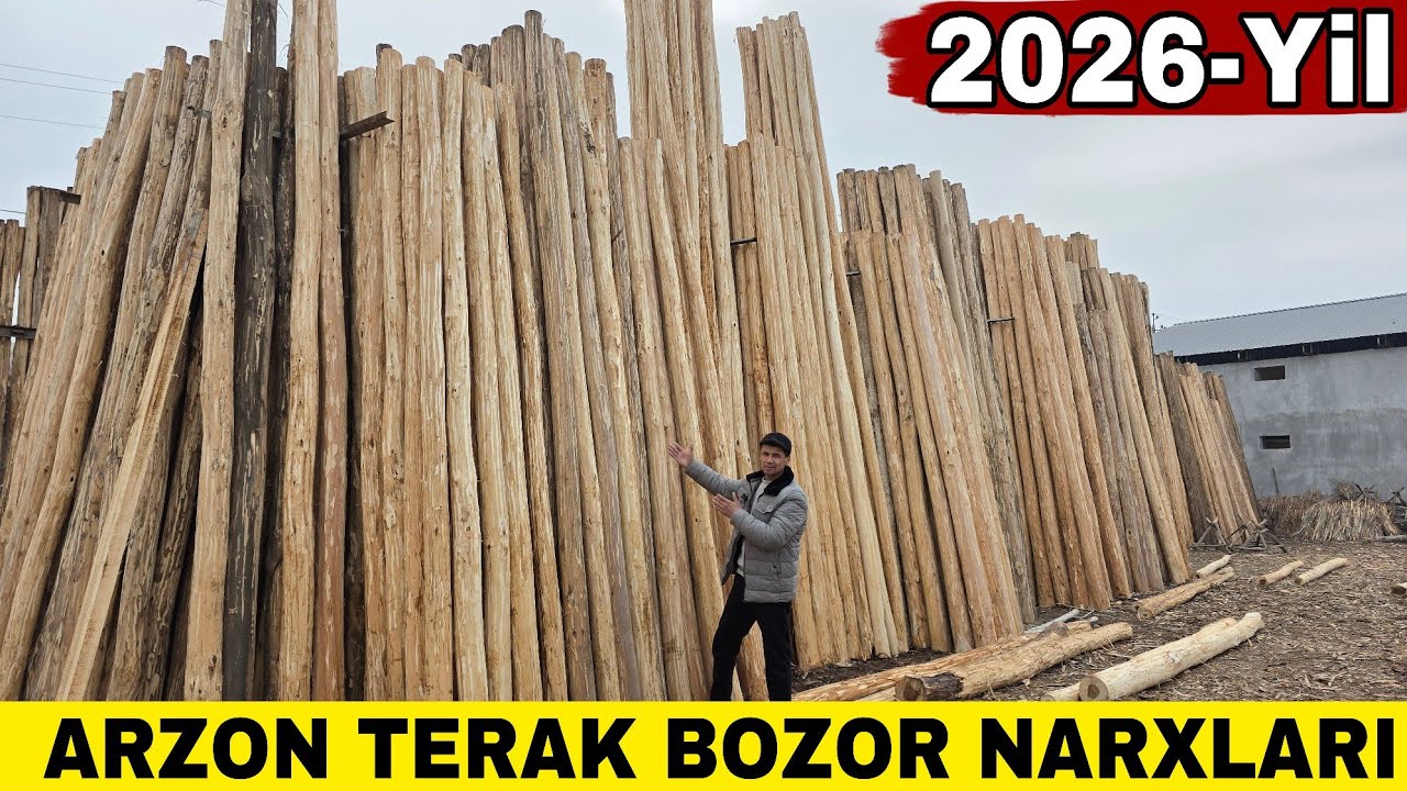 Optom Arzon Terak Bozor +998943507390 +998905507390| 2026 Terak Bozor Narxlari 