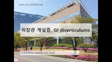 위장관 게실증 Zenker KJ epiphrenic Meckel colonic diverticulum 이준행