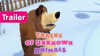 Masha and The Bear - Tracks of unknown Animals (Trailer)