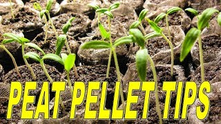 How To Use Peat Pellets To Start Seedlings