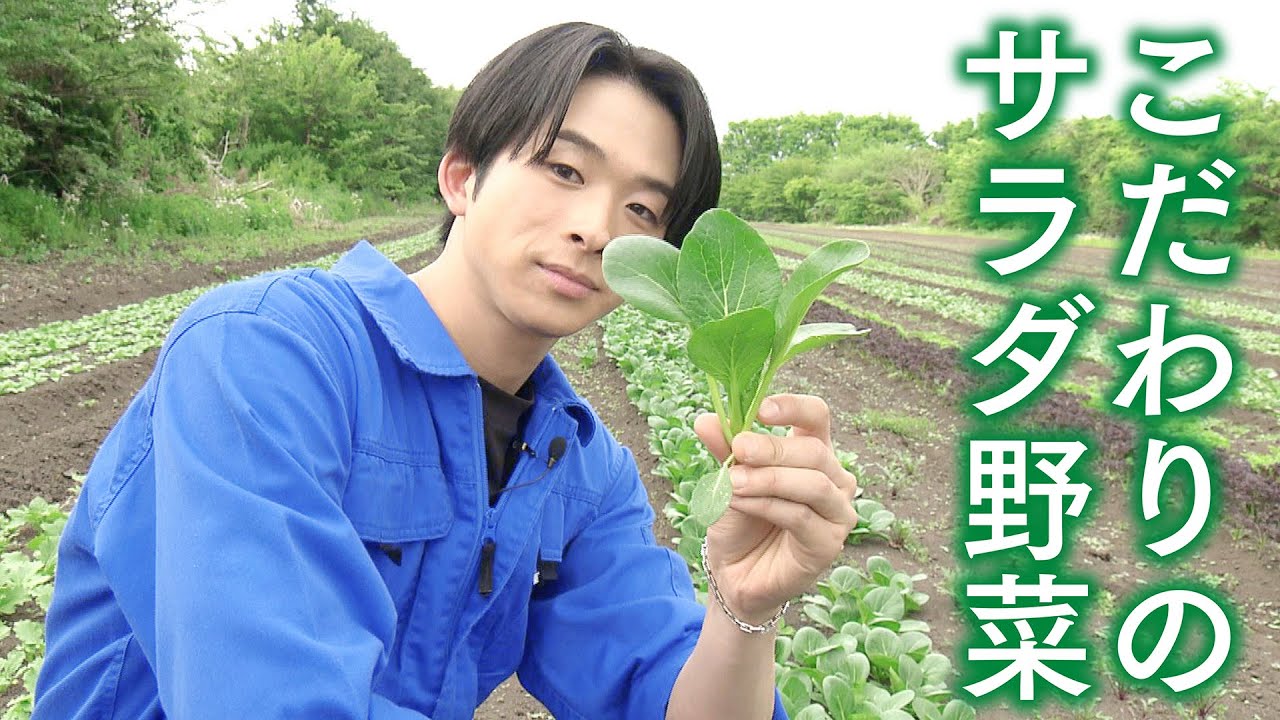 What are the delicious and healthy vegetables? - YouTube