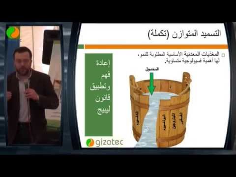 التسميد المتوازن والإنتاجية والجودة في الموالح محمد هلال بمهرجان الموالح