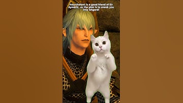 Post-A Realm Reborn Explained with Cat Memes #ffxiv #ffxivmemes #ff14 #catmemes