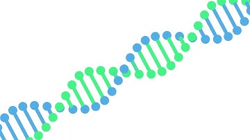 3D DNA rotation animation free download