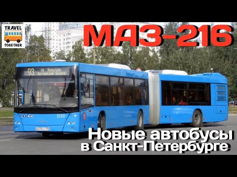Новые автобусы в Санкт-Петербурге - "МАЗ-216" | New buses in St. Petersburg - "MAZ-216"