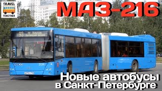 Новые автобусы в Санкт-Петербурге - 