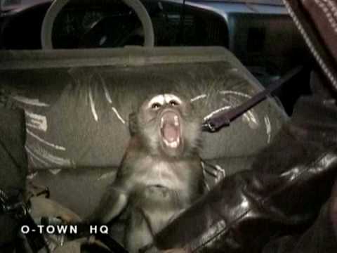 Jacob's Loc - Jacob and Abby in the car (Personal ...