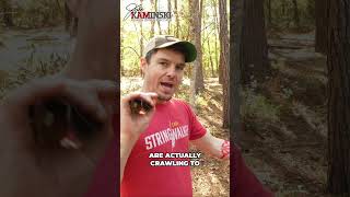 Barebow Cheater Are You Crawling Or Cheating?