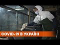 В Украине зафиксировано 12 585 новых случаев Covid-19, но выздоровевших больше