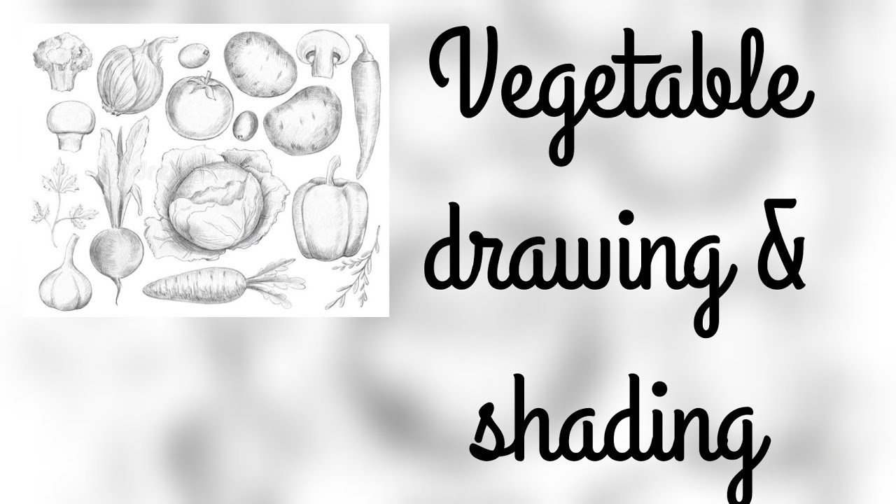 vegetable drawing and shading shadingforbeginners elementrypractice 