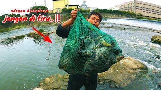 viral..‼️ jala ikan di Taiwan sekali tebar bisa dimakan orang sekampung..😱