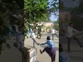 #morningexercise#yoga#governmentschool#schoollife#studentlife#morningroutine#motivation#viral#shorts
