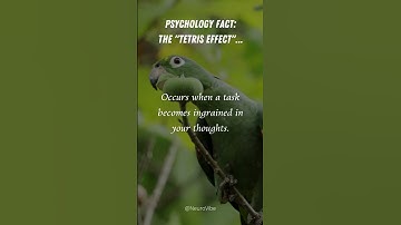 The Tetris Effect: When Your Mind Plays Games #psychology #brainscience #positivepsychology